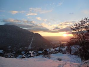 Iris - BILAN DU BLOG pour décembre 2014
