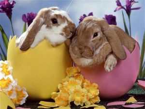 Joyeuse Pâques !!