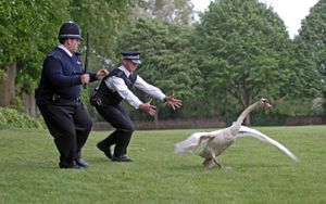 Hot Fuzz - d'Edgar Wright - 2007
