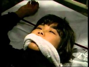 Guinea Pig 2: Flower of Flesh and Blood - de Hideshi Hino - 1985