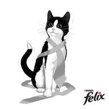 Félix
