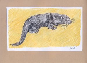 Poèmes animaliers... à la manière de Desnos