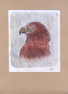 Poèmes animaliers... à la manière de Desnos