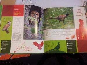 Les oiseaux. Livre-cd de Laurent Spanneut. (dès 4 ans)