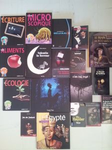 Challenge des bookineurs en couleurs de Liyah - noir