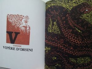 Dans le mystère des animaux sauvages. Sébastien G. Orsini. (dès 2 ans)