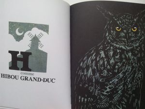 Dans le mystère des animaux sauvages. Sébastien G. Orsini. (dès 2 ans)