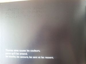 Le livre noir des couleurs. Menena Cottin et Rosana Faria. (dès 6 ans)