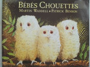 Bébés chouettes. Martin Waddel (dès 2 ans)