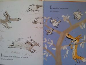 C'est qui le plus costaud? Robin (dès 3 ans)