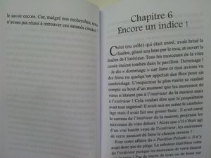 Un crime est-il facile? Michel Amelin (dès 9 ans)
