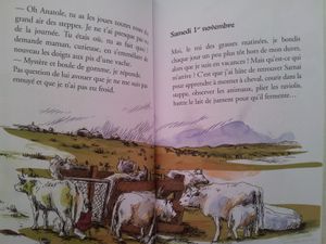 Le journal d'Anatole Frot en Mongolie. Amandine Penna (dès 7 ans)