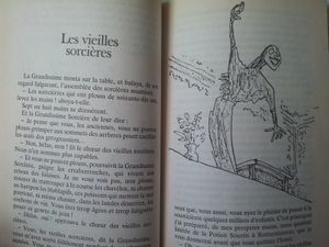 Sacrées sorcières. Roald DAHL (dès 10 ans)
