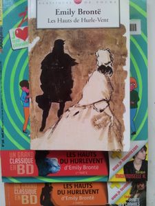 Les Hauts de Hurlevent. Emily BRONTË. Adaptation en BD