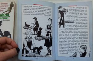 Il y a sorcière…et sorcière. (Un album dès 3 ans et deux romans dès 8 ans)