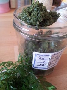 Pesto de fanes de carottes végétalien.