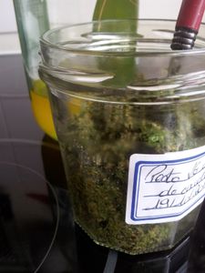 Pesto de fanes de carottes.