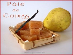 La tête dans les choux. Gaia GUASTI . (Dès 12 ans)