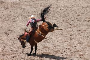 Western girl. Anne PERCIN. (Dès 12 ans)