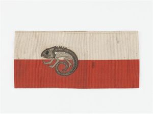 Un caméléon, symbole de la Section de camouflage, est brodé en cannetille d’argent sur les couleurs de l’état-major, rouge et blanc.