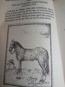 Cheval de guerre. Michael MORPURGO (Dès 12 ans)