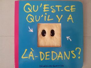 Bénédicte Guettier - Auteur Jeunesse