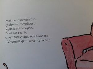 Parce qu'il n'y a pas que maman qui attend Bébé!!! (sélection dès 2 ans)