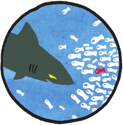 Opération anti-requins à Lille - samedi 15 mars