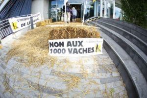 Les 1000 vaches : Ramery dépasse son quota !