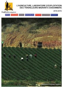 L’agriculture, laboratoire d’exploitation des travailleurs migrants saisonniers