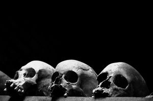 Genocide policy plaguing entire Africa: Freeman (Press TV)