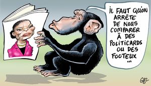Racisme : arrêtez vos singeries ! (JAI)