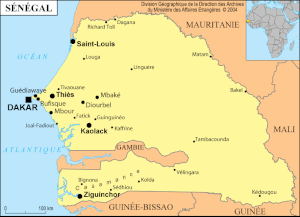 Sénégal : gouvernement néocolonial, francophonie politique et Françafrique (Afriques en lutte)