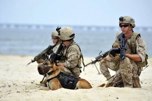 L’Afrique, nouveau terrain de jeu des Navy Seals