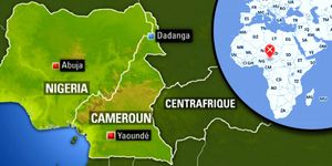 Du Centrafrique au Cameroun : une recolonisation française de l'Afrique au prétexte de la lutte contre l'islamo-terrorisme