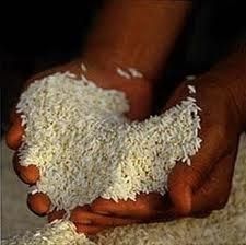 Afrique et spéculation sur les matières premières. Main basse sur le riz (Vidéo)