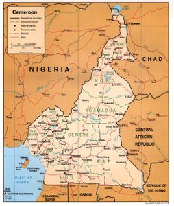 Le camerounais doit libérer l'Afrique francophone de la domination barbare française (Cameroon Voice)