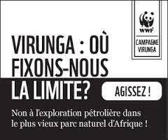 RDC - Nord-Kivu : la société civile opposée à l’exploitation du pétrole dans le parc des Virunga (Radio Okapi)