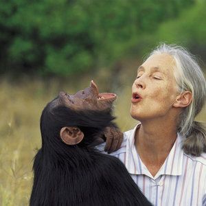Pour la primatologue Jane Goodall, la Chine exploite les richesses de l'Afrique comme les colonisateurs européens (AFP)