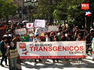 La « loi Monsanto » repoussée par le gouvernement Chilien (Bastamag)