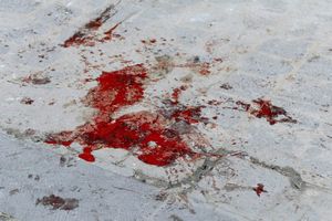 Les filières terroristes vers la Syrie étaient soutenues par les services français