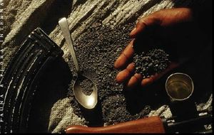 Congo Inc, laboratoire du futur (CB)