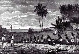 La colonisation de la Guadeloupe et de la Martinique (Voltaire.net)