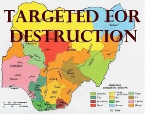 Boko Haram: Bons et méchants dans le spectacle (Survie)
