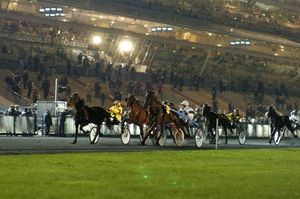 Françafrique. Le PMU va doter le Cameroun du premier hippodrome d'Afrique noire (I Cameroun)