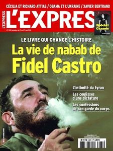 Propagande contre Fidel Castro : une Réplique africaine (Afriques en Lutte)