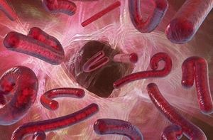 Selon Navy Times, les Filovirus comme Ebola intéressaient le Pentagone en tant qu'armes biologiques potentielles à la fin des années 1970