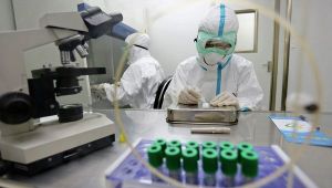 GSK to start production of Ebola vaccine as tests on humans begin (The Guardian)