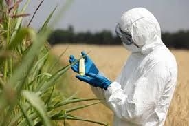 OGM et pesticides: le désastre argentin, la guerre transatlantique (Mediapart)
