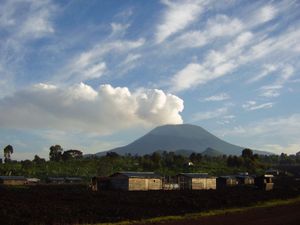 RDC : la société pétrolière Soco appelée à se retirer du parc des Virunga (AFP)